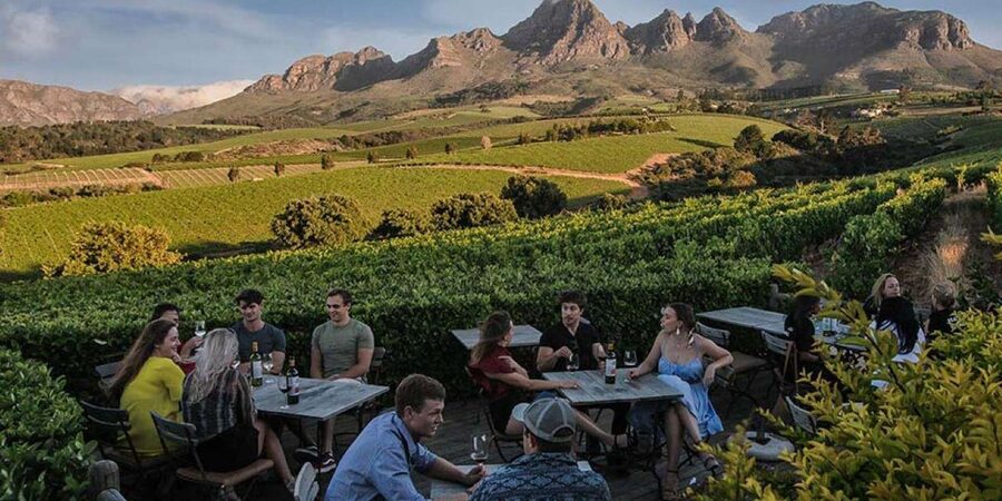 Full-Day Private: Best of the Cape - Boulders Beach penguins: wildlife viewing that stays respectful