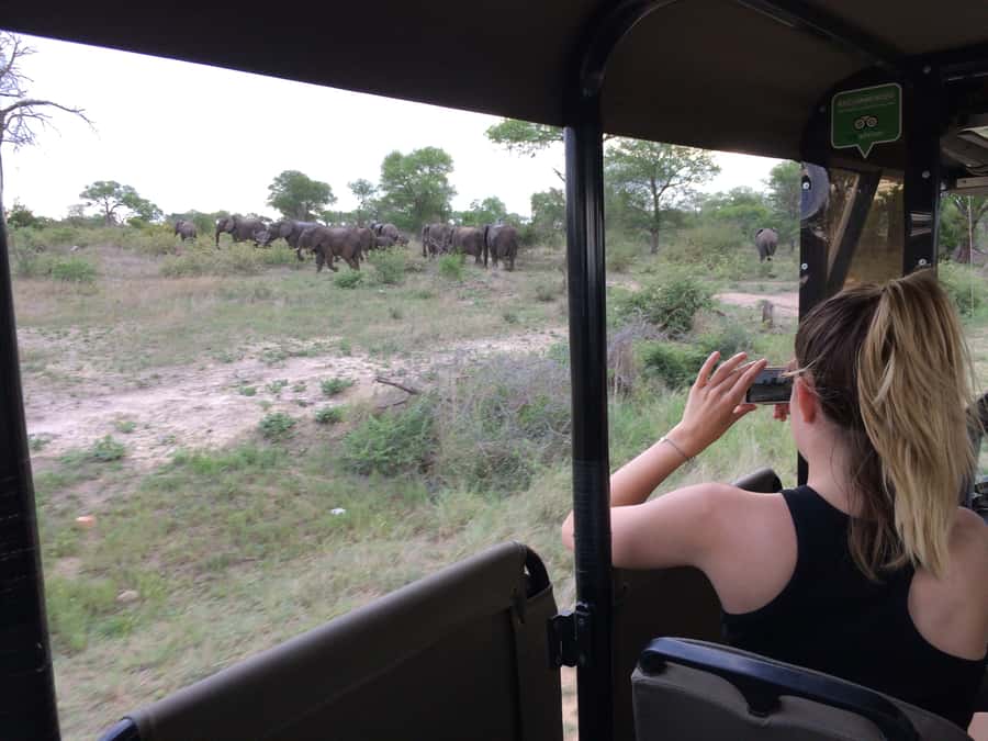 Full-Day Private Big 5 Safari in Kruger National Park - Private pickup in Hazyview or Skukuza, and why timing matters