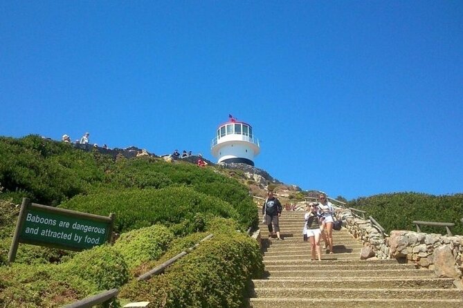 Full Day Private Cape Peninsula and Boulders Beach Tour - Chapman’s Peak Drive: the iconic road stop where photos win