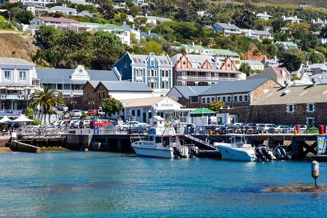 Full Day Private Cape Peninsula and Boulders Beach Tour - Cape Point Lighthouse area: admission not included, but the views are the point