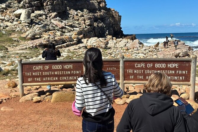 Full Day Private Cape Peninsula and Boulders Beach Tour - Cape of Good Hope: Rugged Cliffs and a Second View Lift