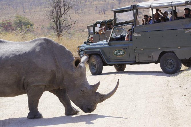 Full Day Safari in the Kruger National Park from Hazyview - Lunch on your own: budget it, and use the pause well