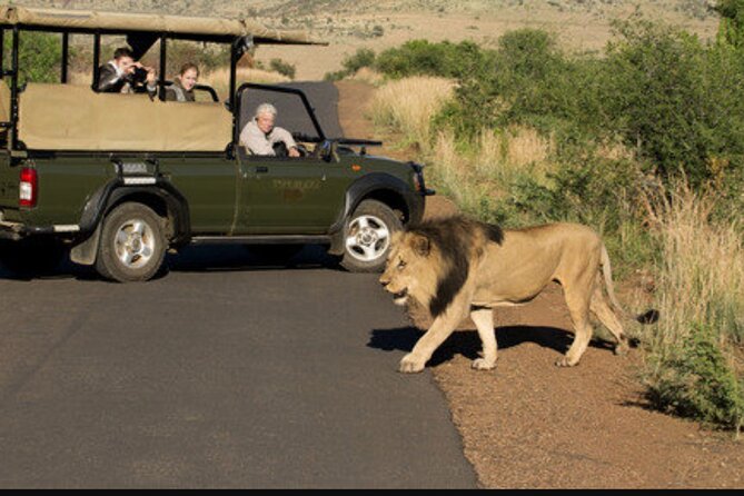 Full Day Safari Tour of Pilanesberg National Park, Open Jeep experience - Lunch, long hours, and how to make the day feel shorter