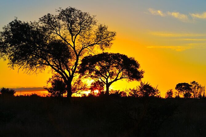 Full-Day Shared Kruger National Park Safari from Hoedspruit - The long middle of the day: how to handle the wait