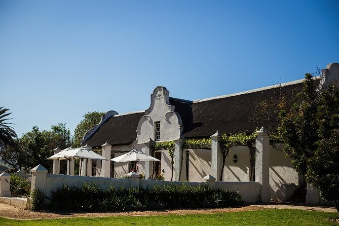Full Day Small Group Wine Tour Cape Town and Stellenbosch - Simonsig: MCC sparkle, cellar tour energy, and saber opening