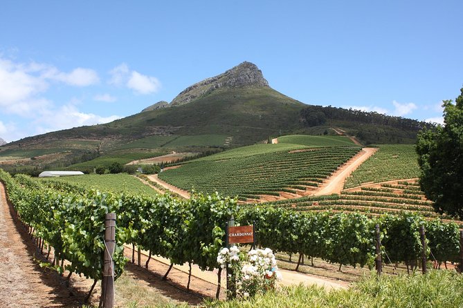 Full-Day Stellenbosch, Franschhoek and Paarl Wine Tasting Tour from Cape Town - Nelson Mandela at Drakenstein Prison and the Paarl finale at Laborie