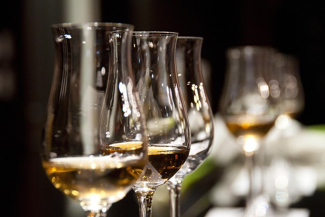 Full-Day Stellenbosch, Franschhoek and Paarl Wine Tasting Tour from Cape Town - Tastings, cheese, and what you can learn without a degree