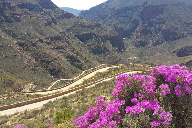 Full-Day Swartberg Mountain PRIVATE Tour (including lunch and transfers) - Seeing wildlife the smart way: what to watch for on the ground and in the sky