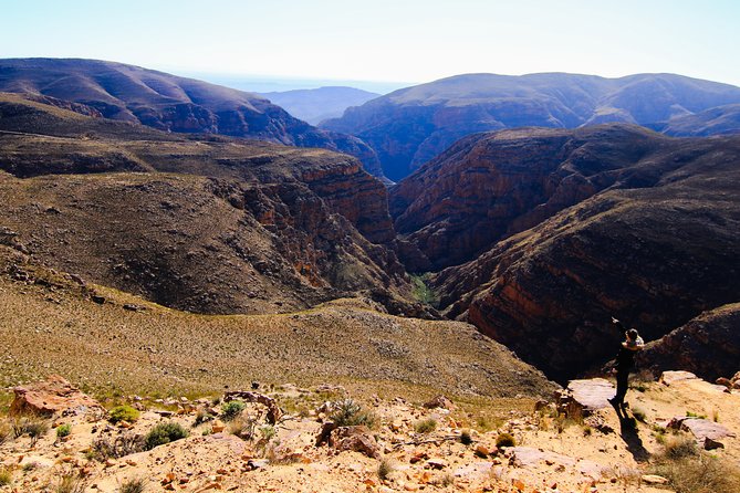Full-Day Swartberg Mountain PRIVATE Tour (including lunch and transfers) - The second hike: calmer pace, more plant details, better odds to notice