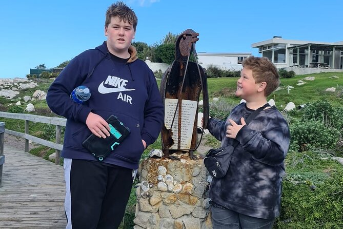 Full-Day Tour Stony Point Penguin Colony at Betty's Bay (up to 10 persons) - Stony Point penguins from Betty’s Bay, with a scenic drive built in