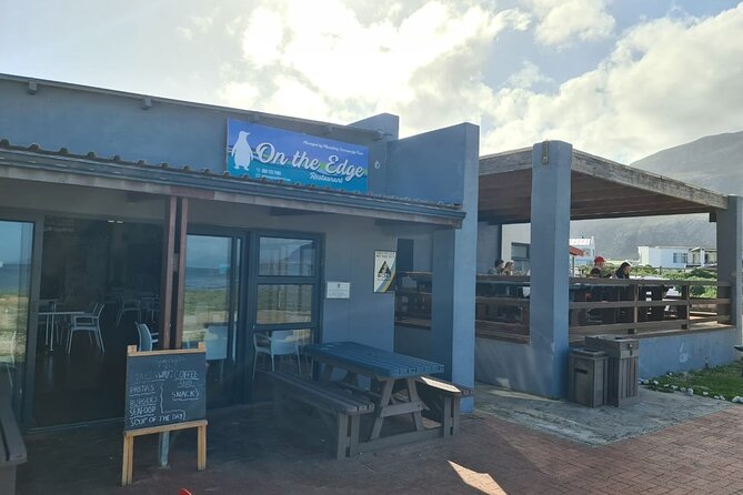 Full-Day Tour Stony Point Penguin Colony at Betty's Bay (up to 10 persons) - Complimentary photography: how it changes the way you experience penguins