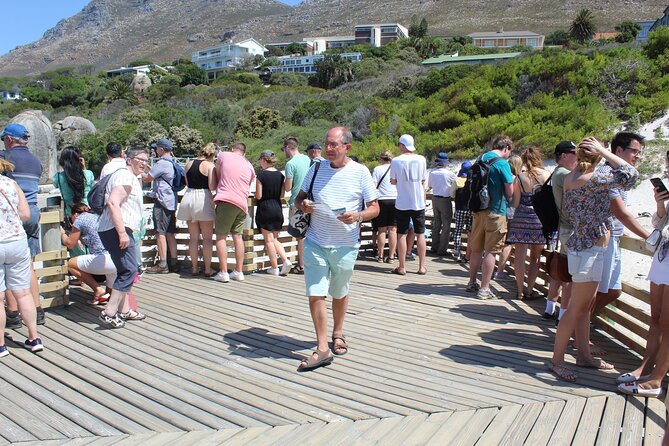 Full-Day Tour to Cape Point and Cape of Good Hope - Cape Point: fenicular, lighthouse steps, and big bay views