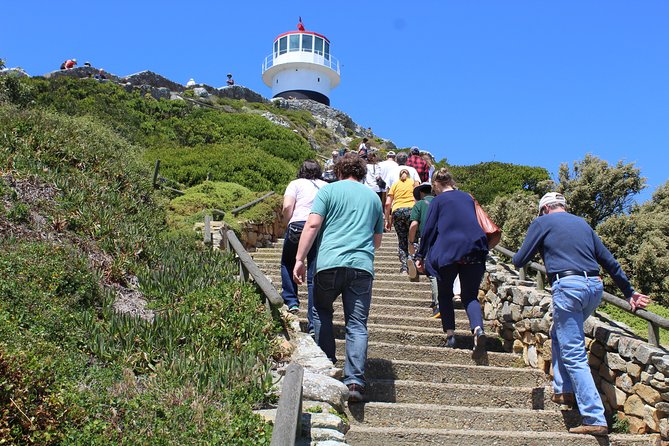 Full-Day Tour to Cape Point and Cape of Good Hope - Boulders Beach: penguin boardwalk time and close-up photos