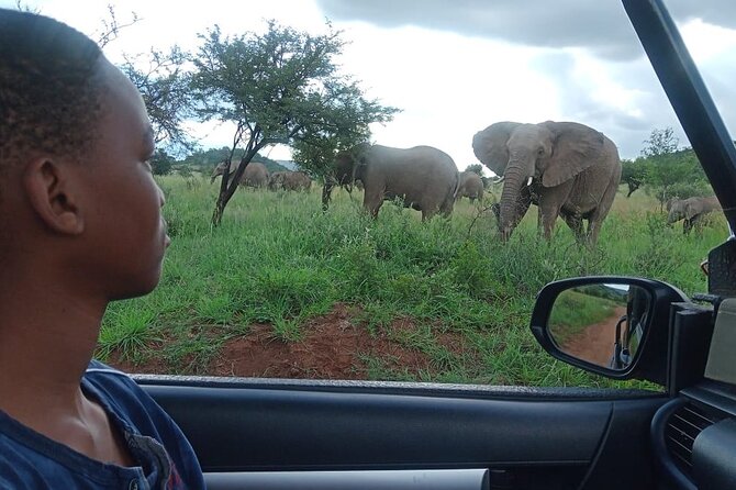 Full Day Ultimate Pilanesberg National Park Safari from Johannesburg or Pretoria - Open safari vehicle time: how to get better views and photos