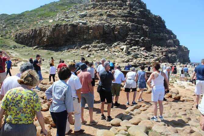Full Day visit to Cape Point Cape of Good Hope for Special needs from Cape Town - Cape Town To Cape Point, Built for Limited Mobility