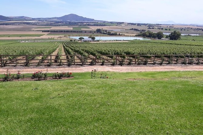 Full Day Wine Tasting in Stellenbosch, Franschoek & Paarl fees included - Stop 1 in Stellenbosch: DeMorgenzon and the music-frequency idea