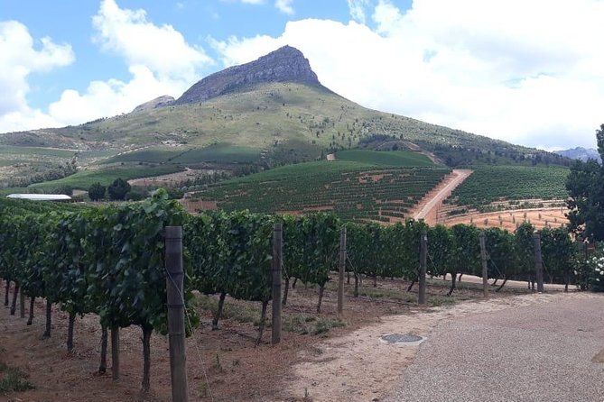 Full Day Wine Tasting in Stellenbosch, Franschoek & Paarl fees included - Stop 4 in Paarl: Spice Route, old-house flavors and chocolate