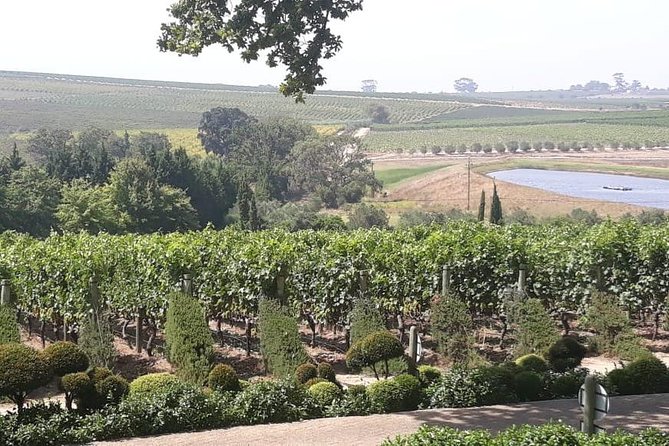 Full Day Wine Tasting in Stellenbosch, Franschoek & Paarl fees included - The guides make a difference, especially on longer stops