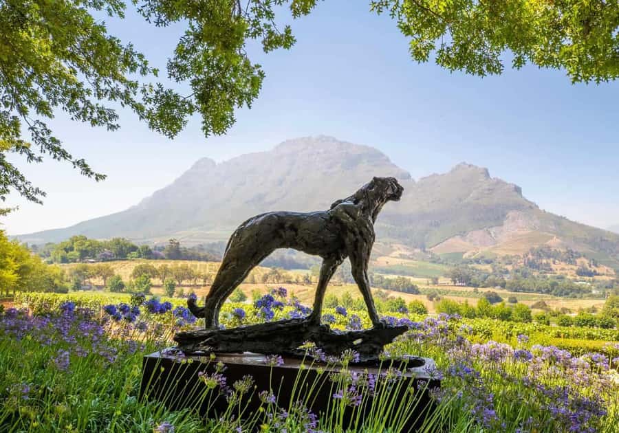 Full Day Winelands Tour With Wine Tasting from Cape Town - Stop 2 Nelson Mandela Drakenstein Prison House: A Tight 30 Minutes With Meaning