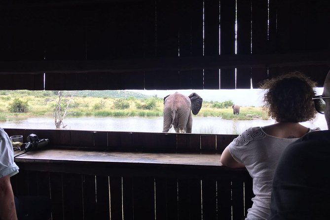 Fully inclusive Pilanesberg safari from Johannesburg - Lunch and water: a included break that keeps the day on track
