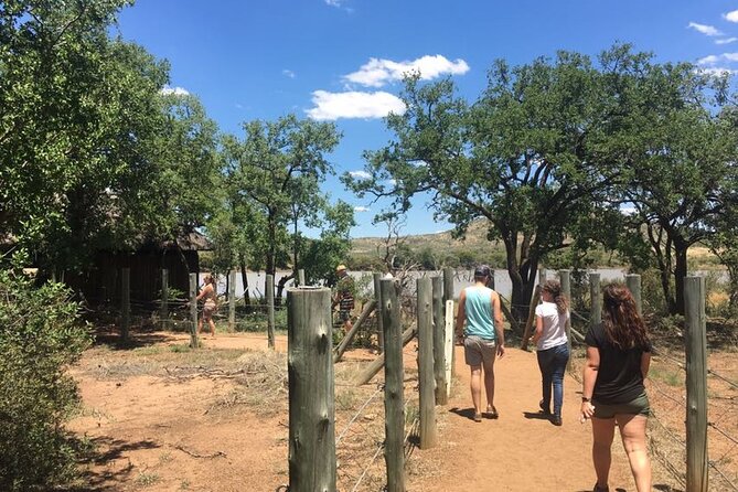 Fully inclusive Pilanesberg safari from Johannesburg - Transportation and group size: smoother than you expect