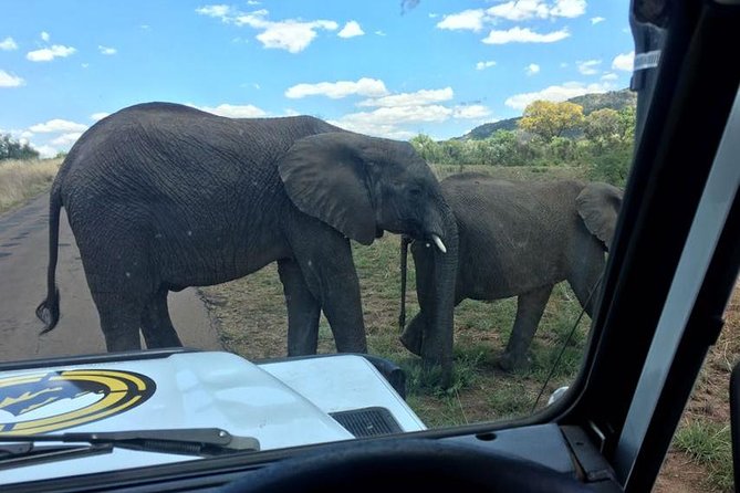 Fully inclusive Pilanesberg safari from Johannesburg - What to wear and pack for an open-air safari morning