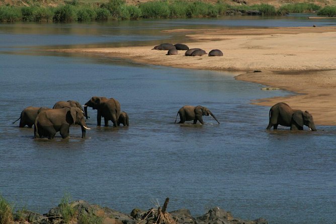 Fully inclusive Pilanesberg safari from Johannesburg - Price and what you really get for your money