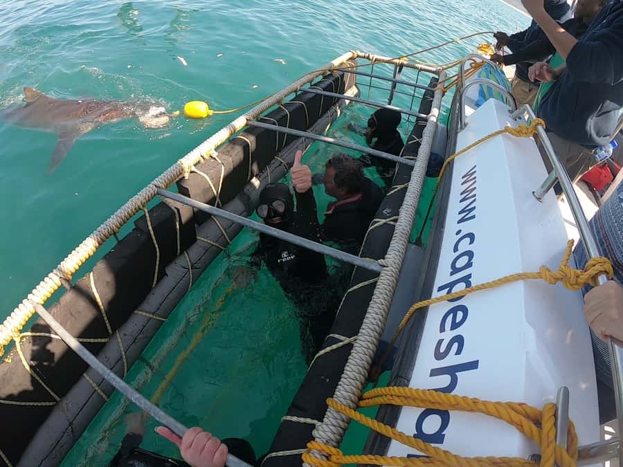 Gansbaai: Shark Cage Diving and Shark Viewing Boat Trip - Booking Sense Check: Should You Book This One?
