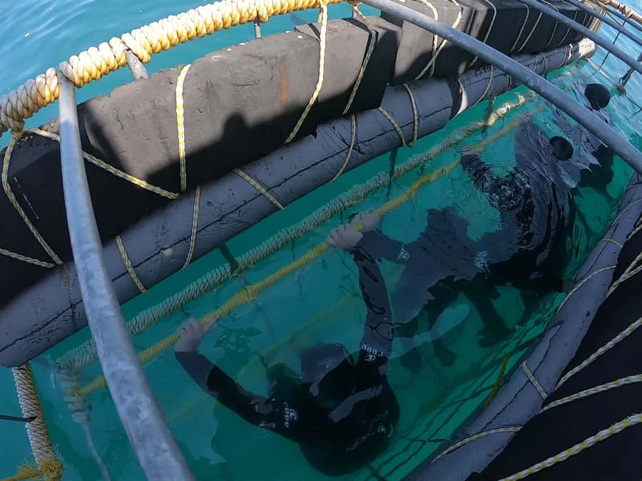 Gansbaai: Shark Cage Diving and Shark Viewing Boat Trip - Weather, Clothing, And Bring-This-Not-That Packing Tips