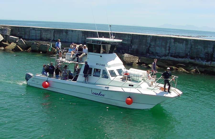 Gansbaai: Whale Watching Trip by Boat - Gansbaai and De Kelders: the whale-watching combo that works