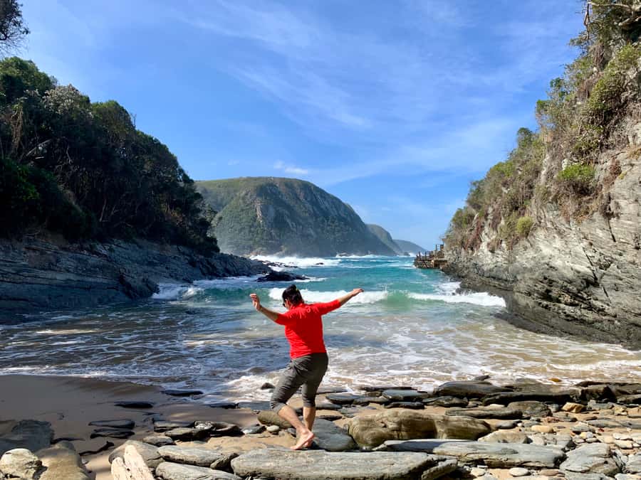 Garden Route and Addo Elephant National Park: 5-Day Safari - Day 5: Addo Elephant National Park Big Five viewing, then Port Elizabeth drop-off