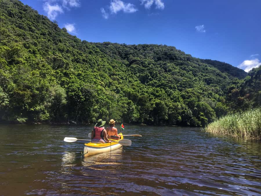 Garden Route and Addo Elephant National Park: 5-Day Safari - Day 2: Route 62 wine country to Oudtshoorn’s working farm (ostriches included)