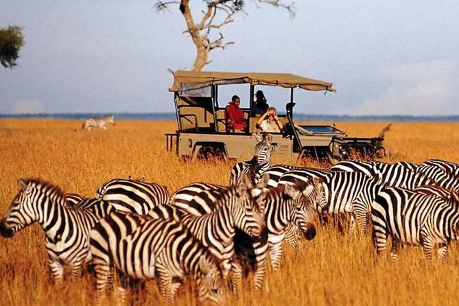 Garden Route and Addo National Park 4 Day Safari - Robberg Nature Reserve Coastal Hike and Plettenberg Bay Views
