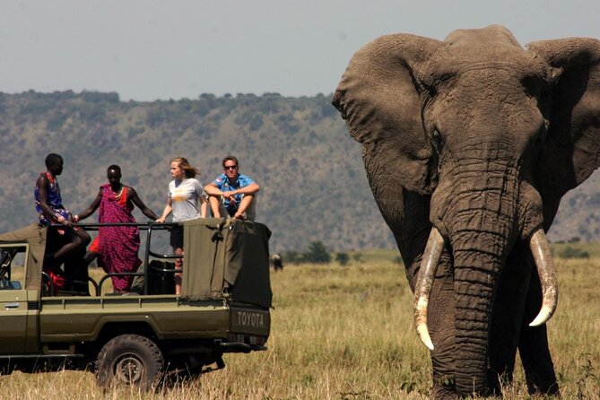 Garden Route & Botlierskop G Reserve 5 Day Safari from Cape Town - Value and what this price really covers