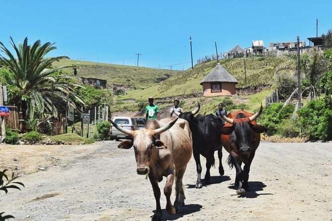 Garden Route Durban to Cape Town via Addo National Park - 7 Days - Mthatha and the Wild Coast stretch toward East London