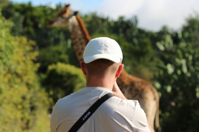 Giraffe Tracking 4x4 Safaris - Bellevue Forest Reserve is a smart choice for giraffe tracking