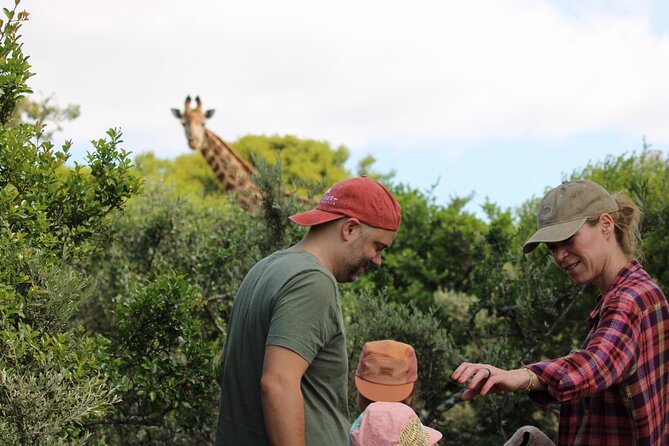 Giraffe Tracking 4x4 Safaris - The walking giraffe tracking: quiet time, serious attention