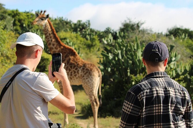 Giraffe Tracking 4x4 Safaris - Animals you may spot, and how to think like a guide for better sightings