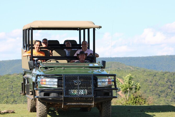 Giraffe Tracking 4x4 Safaris - The 4x4 start: spotting bushveld animals before the walk