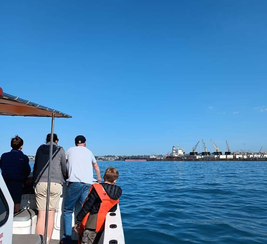 Gqeberha: 30 MINUTE HARBOUR CRUISE - Key things to notice before you go