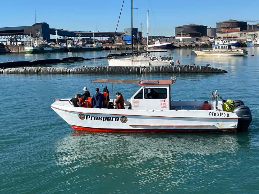 Gqeberha: 30 MINUTE HARBOUR CRUISE - What you do not get, and how to set expectations