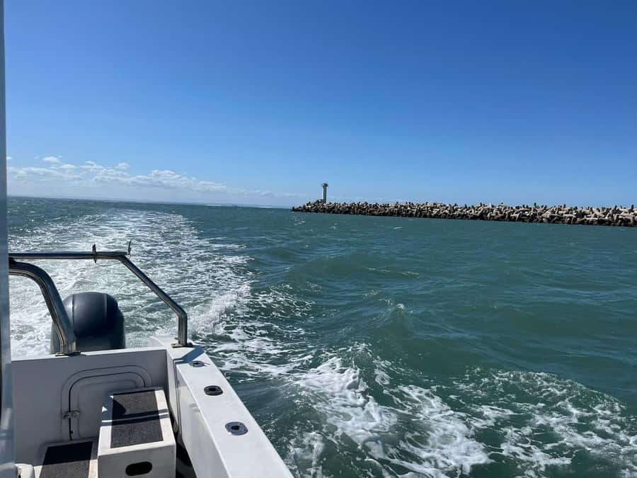 Gqeberha: 30 MINUTE HARBOUR CRUISE - Is it worth $18 per person? Here’s how I would judge the value