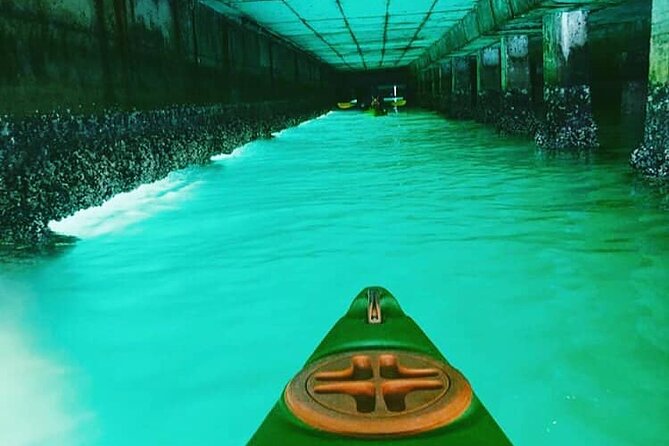 Guided Kayaking in Hout Bay - Paddling Hout Bay Harbor: Where Wildlife Chances Really Matter