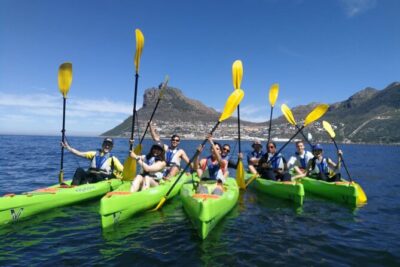 Guided Kayaking in Hout Bay