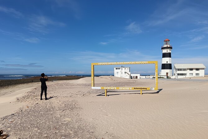 Guided Port Elizabeth Coastal Tour - Key highlights you should know before you go