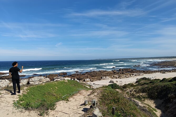 Guided Port Elizabeth Coastal Tour - Why this Gqeberha coastal tour is such an efficient half-day