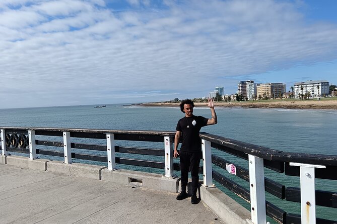 Guided Port Elizabeth Coastal Tour - SANCCOB penguin rehabilitation: where your photos turn into context