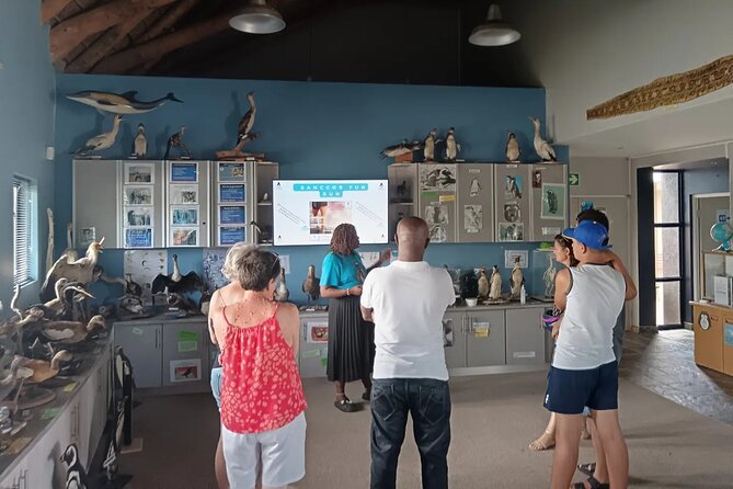 Guided Port Elizabeth Coastal Tour - Price and value: what $74 buys you in real time