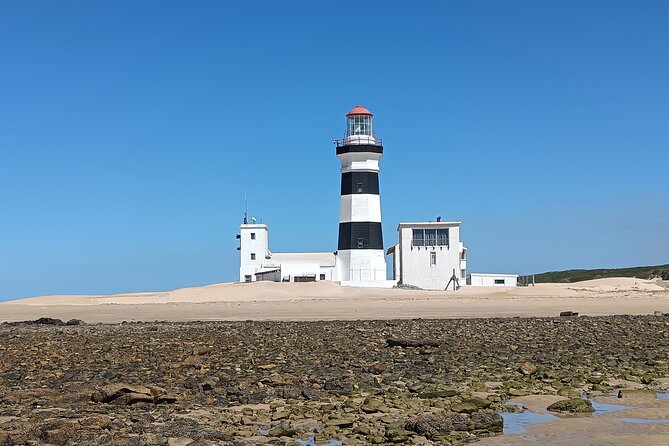 Guided Port Elizabeth Coastal Tour - Getting picked up and starting at Shark Rock Pier