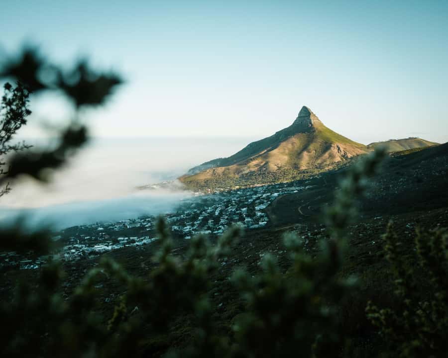 Guided Table Mountain Hike - Kasteelspoort Scenic Route - Key things I’d circle before you book